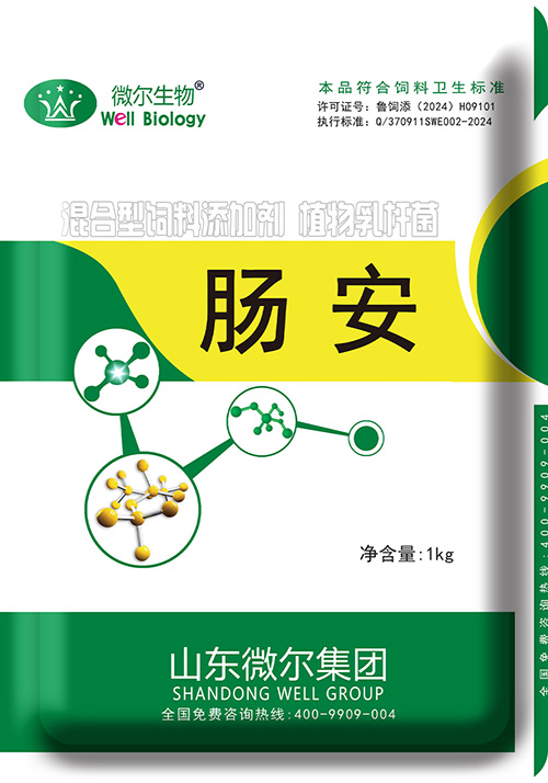 Chang An