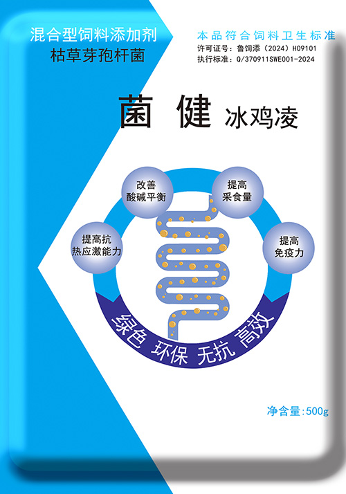 Jianbing Bingji Ling